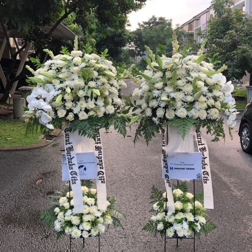 WhatsApp Image 2025-09-02 at 14.25.42 (1)